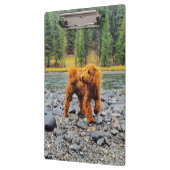 アプリコットプードル – カスタマイズ可能なギフト クリップボード (左)