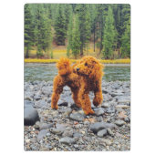 アプリコットプードル – カスタマイズ可能なギフト クリップボード (裏面)