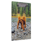 アプリコットプードル – カスタマイズ可能なギフト クリップボード (右)