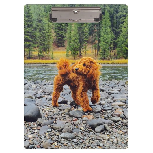 アプリコットプードル – カスタマイズ可能なギフト クリップボード (正面)