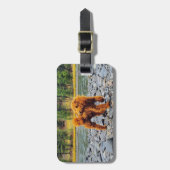 アプリコットプードル – カスタマイズ可能なギフト ラゲッジタグ (正面縦)