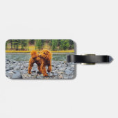 アプリコットプードル – カスタマイズ可能なギフト ラゲッジタグ (裏面横)