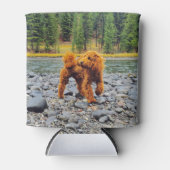 アプリコットプードル – カスタマイズ可能なギフト 缶クーラー (正面)