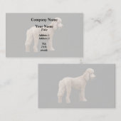 アプリコットプードル 名刺 (正面/裏面)
