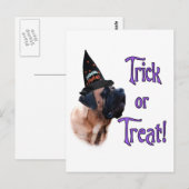 アプリコットマスチフトリックポストカード ポストカード (正面/裏面)