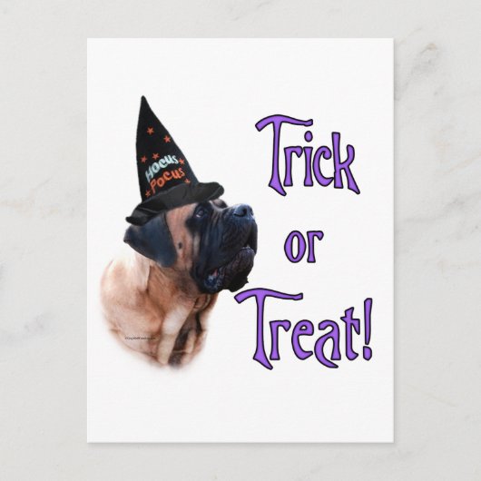 アプリコットマスチフトリックポストカード ポストカード (正面)