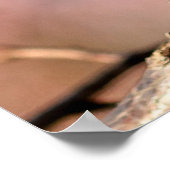 アプリコット日本のの花の芽 ポスター (角)