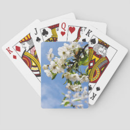 アプリコット春花。 トランプ