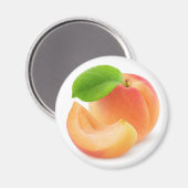 アプリコット果実 マグネット (正面/裏面)