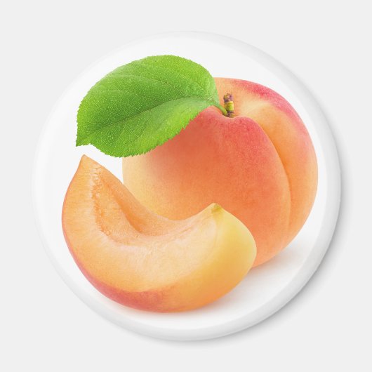 アプリコット果実 マグネット (正面)