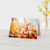 アプリコット桜の花が夕日に照らされる カード (黄色い花)