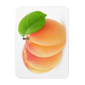 アプリコット2 マグネット (縦)