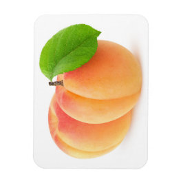 アプリコット2 マグネット