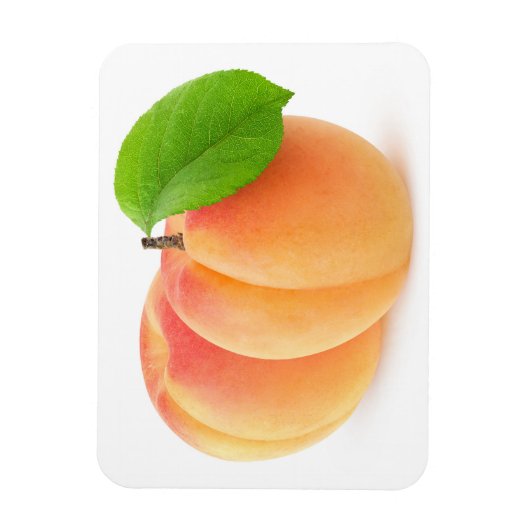 アプリコット2 マグネット (縦)