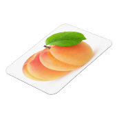 アプリコット2 マグネット (左側)