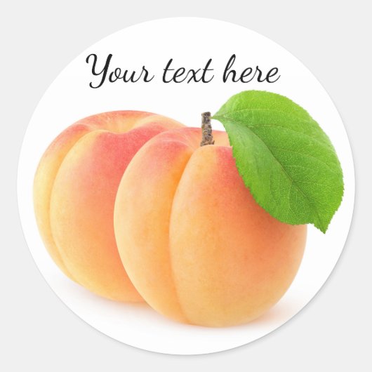 アプリコット2 ラウンドシール (正面)