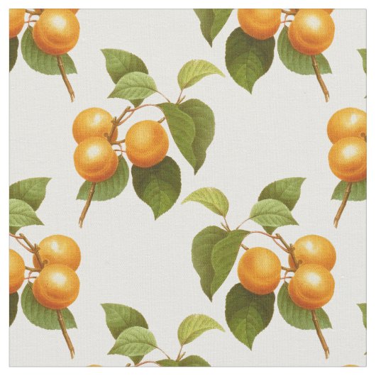 アプリコット ファブリック (クローズアップ)