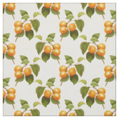 アプリコット ファブリック (見本)