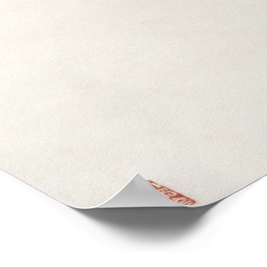 アプリコット ポスター (角)