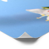 アプリコット ポスター (角)