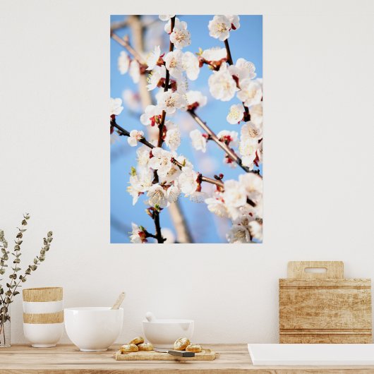 アプリコット ポスター (キッチン)