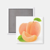 アプリコット マグネット (正面/裏面)