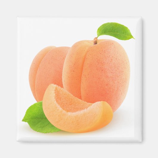 アプリコット マグネット (正面)