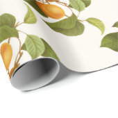 アプリコット ラッピングペーパー (ロールコーナー)