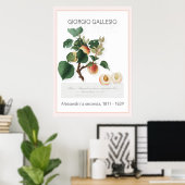 アプリコット、ヴィンテージ植物学イラストレーションポスター ポスター (ホームオフィス)