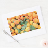 アプリコット 長方形シール (封筒)