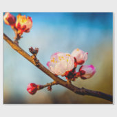 アプリコ日本のットの花と青空 ラッピングペーパー (フラット)