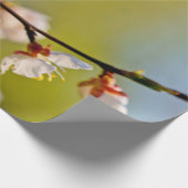 アプリコ日本のットの花 ラッピングペーパー (角)