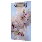 アプリコ日本のット花 クリップボード (左)