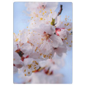 アプリコ日本のット花 クリップボード (裏面)