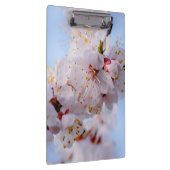 アプリコ日本のット花 クリップボード (右)