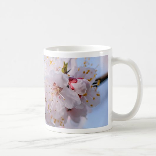 アプリコ日本のット花 コーヒーマグカップ (右)