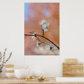 アプリコ日本のット花 ポスター (キッチン)