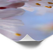 アプリコ日本のット花 ポスター (コーナー)