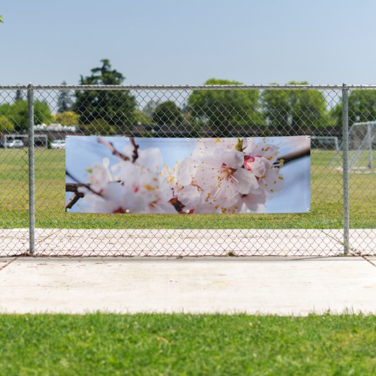 アプリコ日本のット花 横断幕 (インサイチュ)