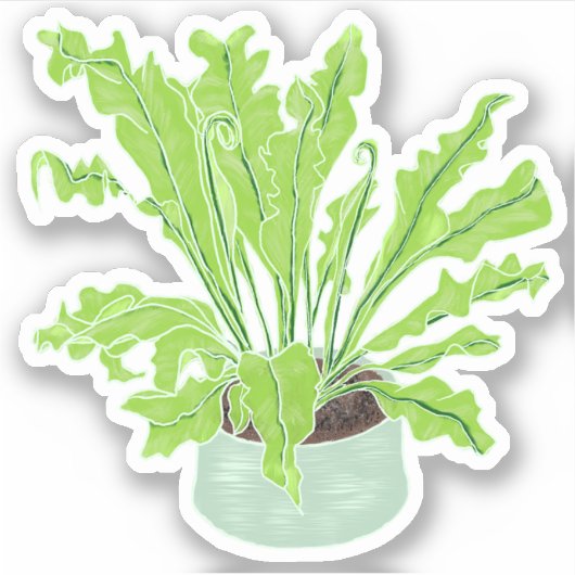 アプレニウム鳥の巣シダ – スケッチカスタムカット。 シール (正面)