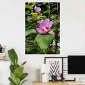 アプロディーテ ムクゲ 低木, 薔薇色の花 ポスター (ホームオフィス)