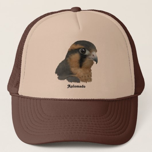 アプロマド キャップ (正面)