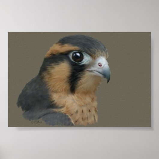 アプロマド ポスター (正面)