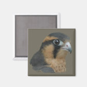 アプロマド マグネット (正面/裏面)