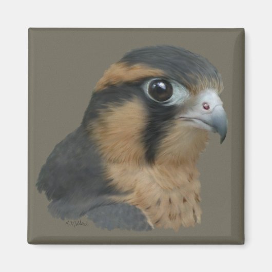 アプロマド マグネット (正面)