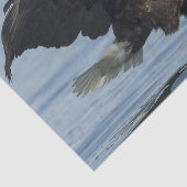 アプローチのワシ 薄葉紙 (詳細)