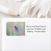 アプローチ中のコスタのハミングバード ラベル (インサイチュ)