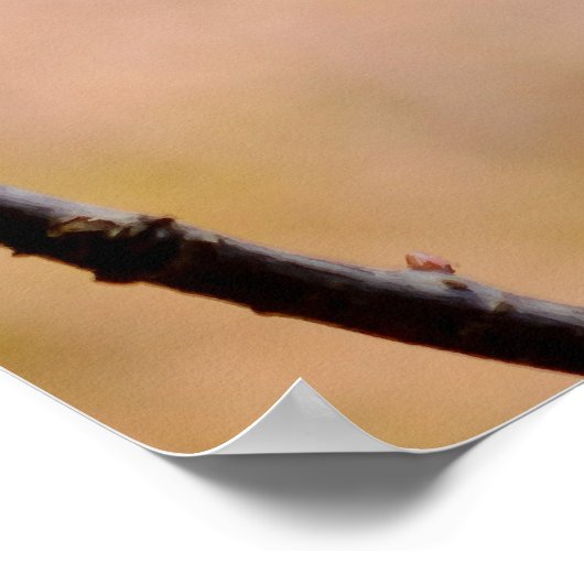 アプ威厳のある日本のリコット花 ポスター (角)