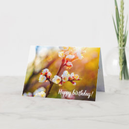 アプ日本のリコットフラワーアットホットオレンジ色の夕日 カード