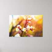 アプ日本のリコットフラワーアットホットオレンジ色の夕日 キャンバスプリント (正面)